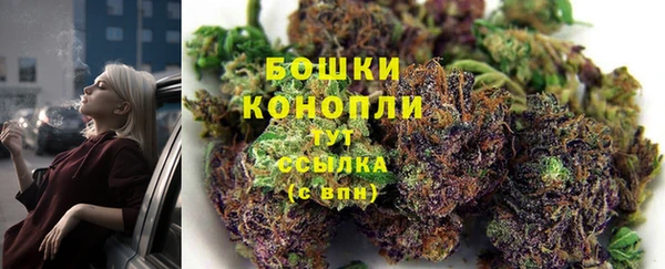 трава Богданович