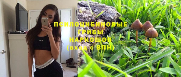 трава Богданович