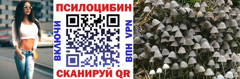 как найти наркотики  Улан-Удэ  Галлюциногенные грибы MAGIC MUSHROOMS 