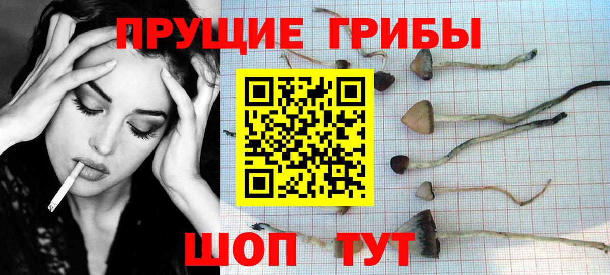 Улан-Удэ  Псилоцибиновые грибы Cubensis  Вход с VPN 
